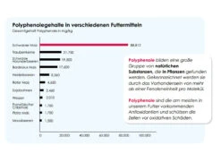 Versele Junior Plus I.C.⁺ 20kg 8 Versele Junior Plus I.C.⁺ 20kg -Haustierprodukte antioxidantien 17
