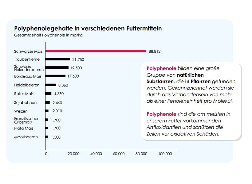 Versele Start Plus I.C.⁺ 20kg 4 Versele Start Plus I.C.⁺ 20kg – Bild 3