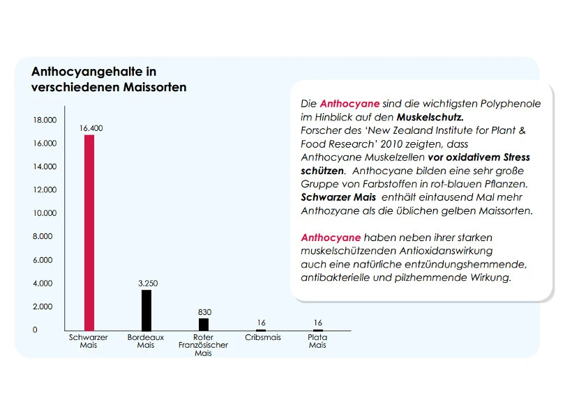 Versele Master Black 20kg 6 Versele Master Black 20kg – Bild 4