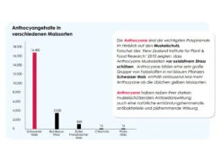 Versele Start Plus I.C.⁺ 20kg 8 Versele Start Plus I.C.⁺ 20kg -Haustierprodukte antioxidantien 29