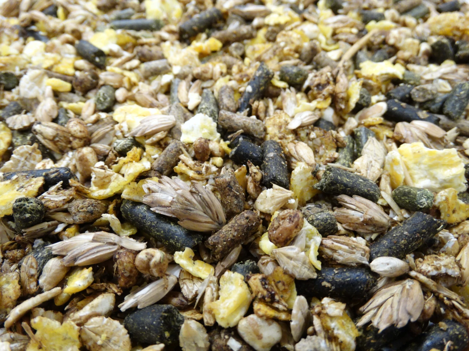 Havens Cool-Mix 20kg 5 Havens Cool-Mix 20kg – Bild 3