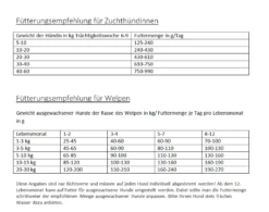 Gladen Puppy + Junior 15kg -Haustierprodukte ftterungshinweise gladen puppy junior neu