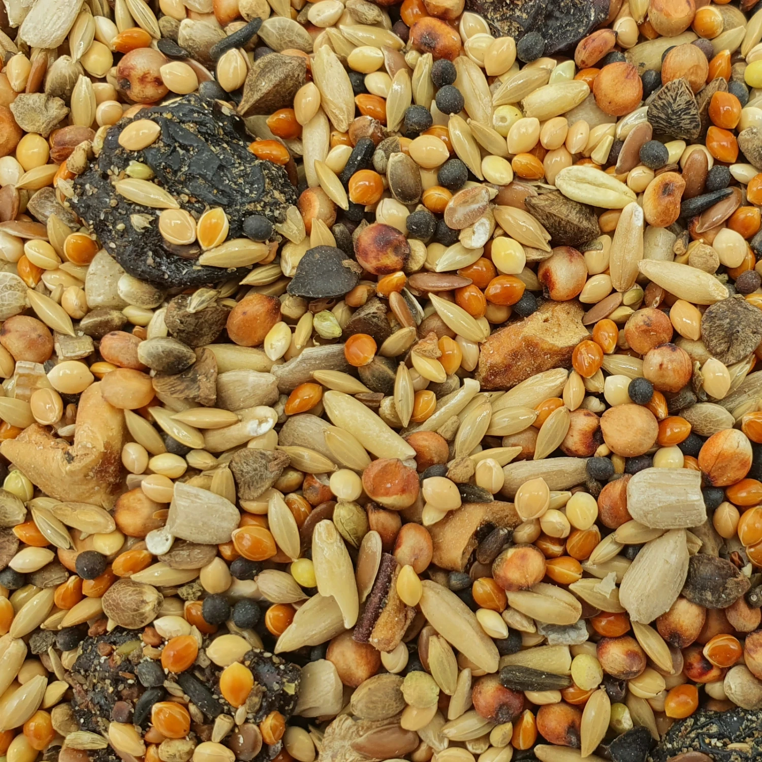 Gevo Wildvogelfutter Mit Früchten 25kg 3 Gevo Wildvogelfutter Mit Früchten 25kg