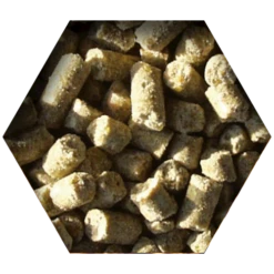 Beyers Goldcorn Koopman 2,5kg 5 Beyers Goldcorn Koopman 2,5kg -Haustierprodukte goldcorn