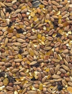 Havens Scharrel-Graan - Körnerfutter 25kg -Haustierprodukte graanmengelingenscharrelgraan