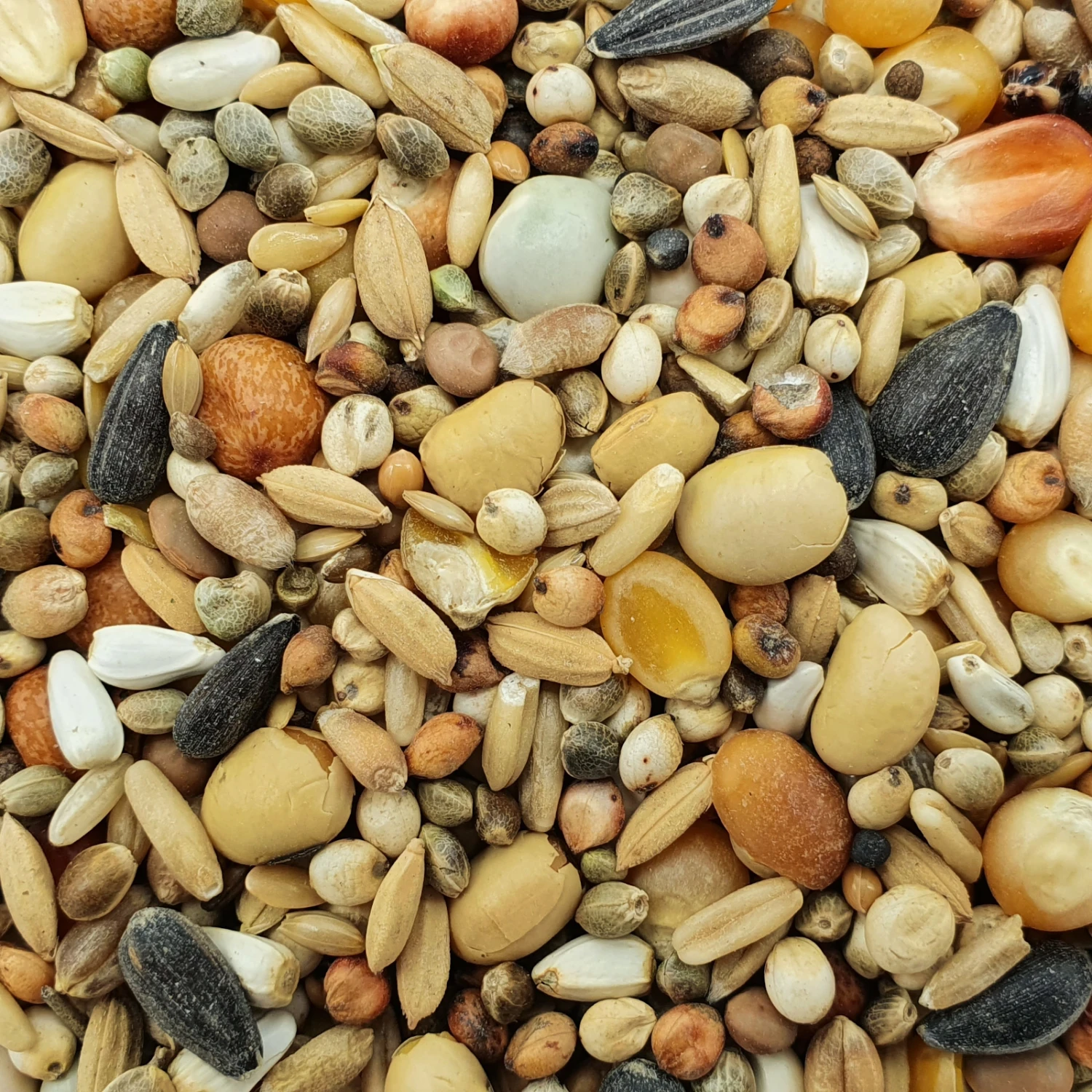 Matador Premium Zucht Extrem 20kg 3 Matador Premium Zucht Extrem 20kg