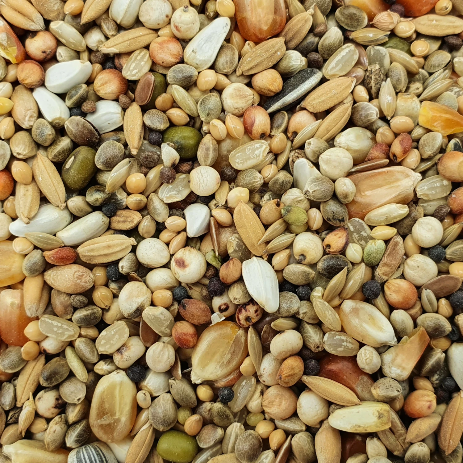 Matador Turbofettmischung Extrem 20kg 3 Matador Turbofettmischung Extrem 20kg