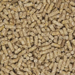 Mifuma Straußenfutter (SF) Ohne GVO 25kg