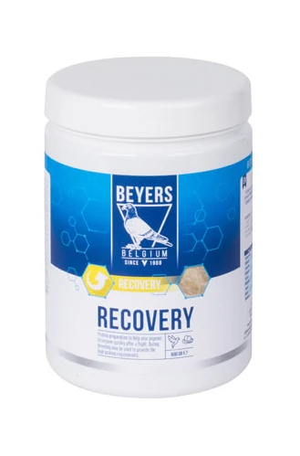 Beyers Recovery 600g 3 Beyers Recovery 600g