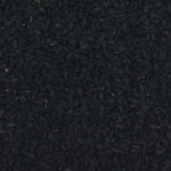 Schwarzkümmelsaat - Gladen 2,5kg