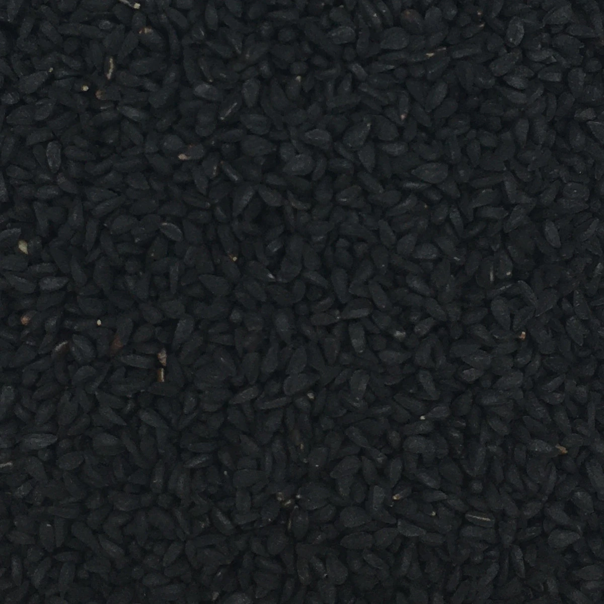 Schwarzkümmelsaat - Gladen 2,5kg 3 Schwarzkümmelsaat - Gladen 2,5kg