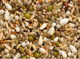 Beyers Premium Sämereien Exclusiv 20Kg 3 Beyers Premium Sämereien Exclusiv 20Kg