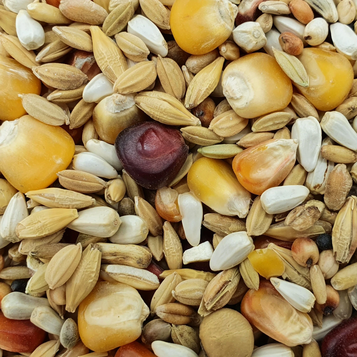 Spinne Top Relax 25kg 3 Spinne Top Relax 25kg