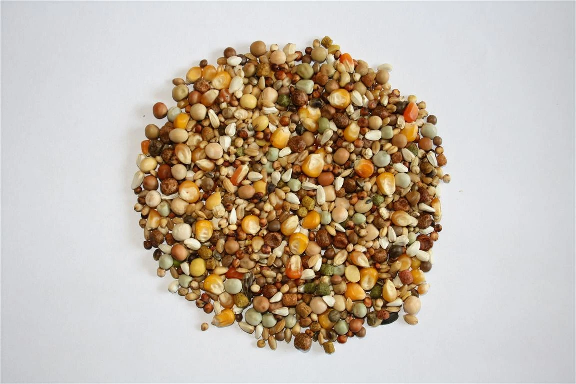 Versele Start Plus I.C.⁺ 20kg 2 Versele Start Plus I.C.⁺ 20kg