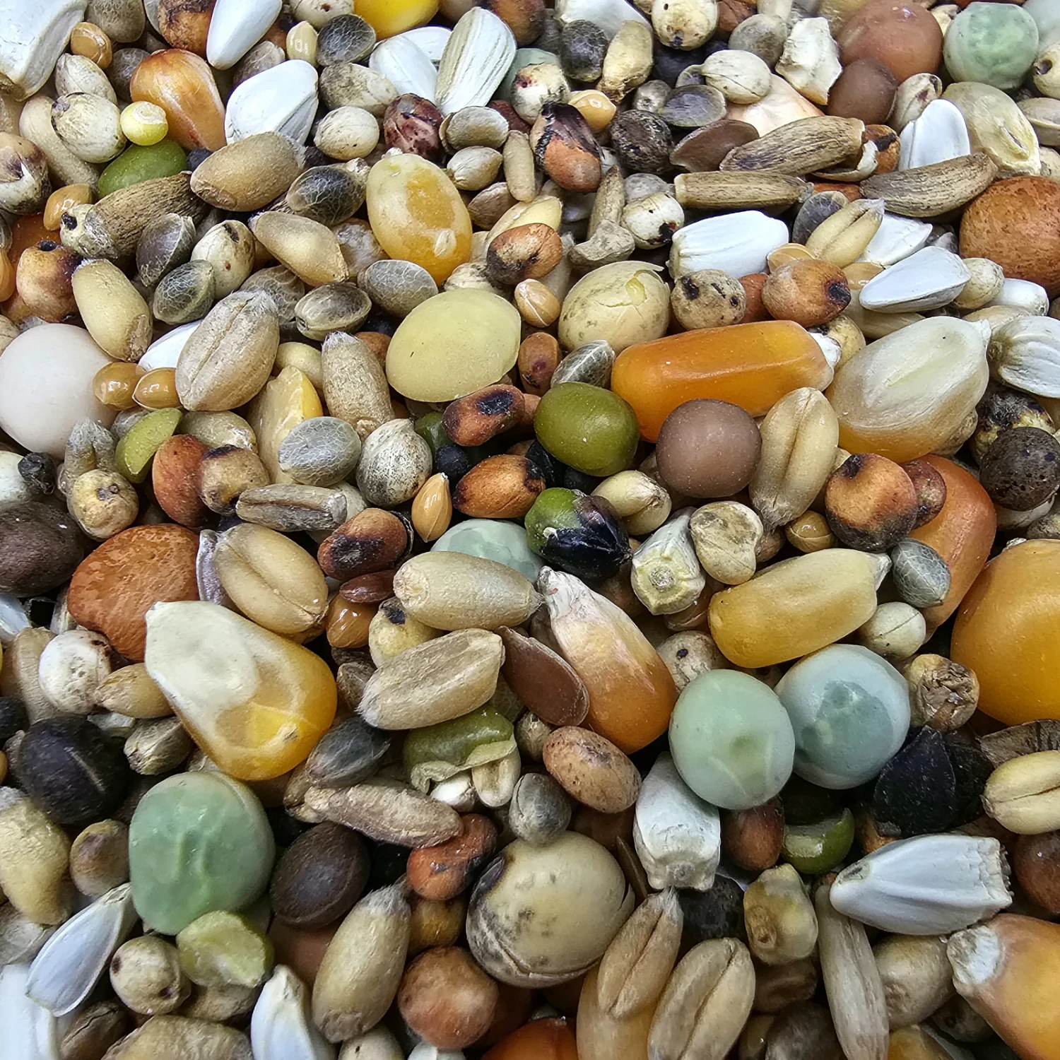 Versele Zucht Active Life 25kg 3 Versele Zucht Active Life 25kg