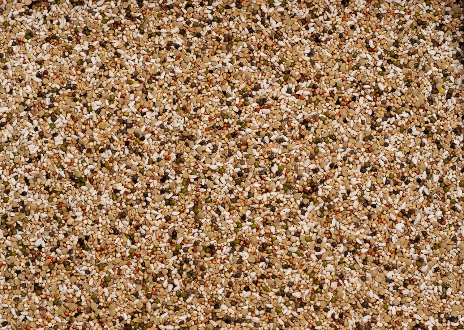 Beyers Wal Zoontjens Basis Gelb 25kg 3 Beyers Wal Zoontjens Basis Gelb 25kg